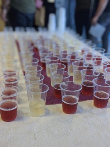 70791594 2311870888881752 8885119761449484288 o