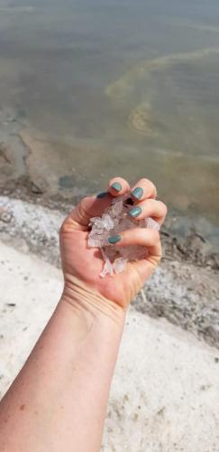 WhatsApp-Image-2022-04-06-at-10.25.34-AM