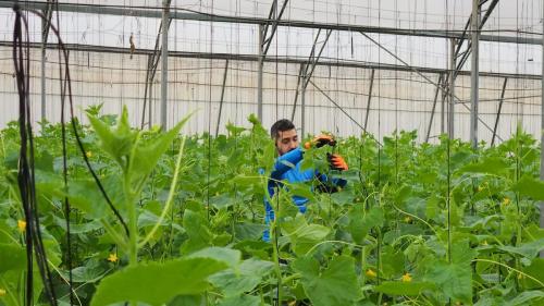 WhatsApp-Image-2023-12-28-at-09.23.20-1