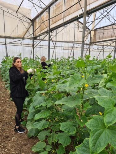 WhatsApp-Image-2023-12-28-at-09.23.21-2