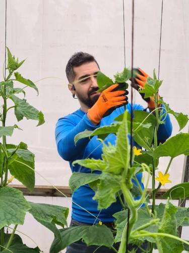 WhatsApp-Image-2023-12-28-at-09.23.21