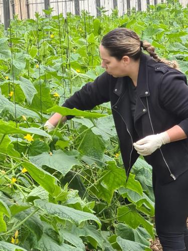 WhatsApp-Image-2023-12-28-at-09.23.22