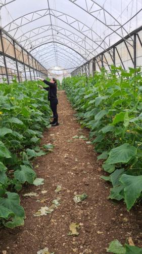 WhatsApp-Image-2023-12-28-at-09.23.23-1