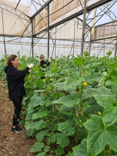 WhatsApp-Image-2023-12-28-at-09.23.24-1