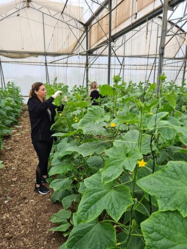 WhatsApp-Image-2023-12-28-at-09.23.24