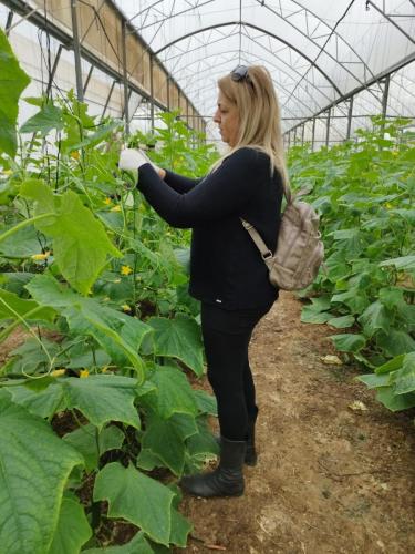 WhatsApp-Image-2023-12-28-at-09.23.26