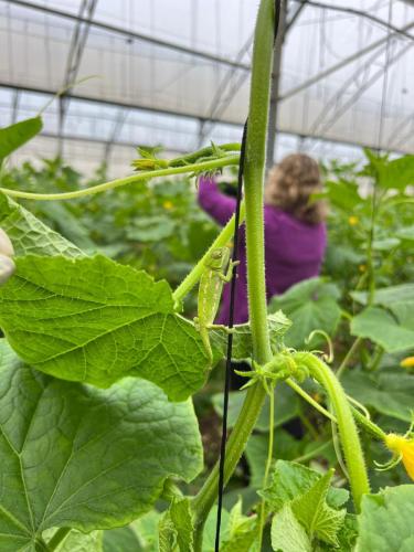 WhatsApp-Image-2023-12-28-at-09.32.55