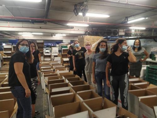 WhatsApp Image 2020-09-07 at 16.15.06