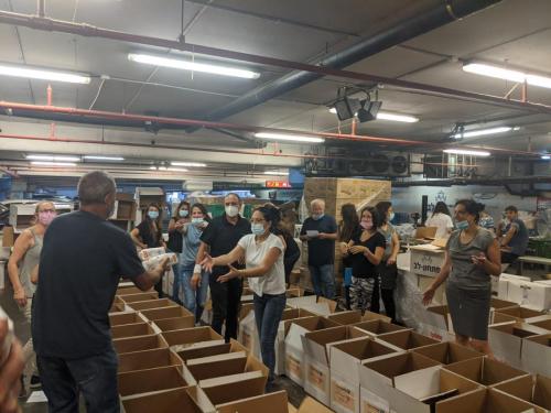 WhatsApp Image 2020-09-08 at 08.24.15