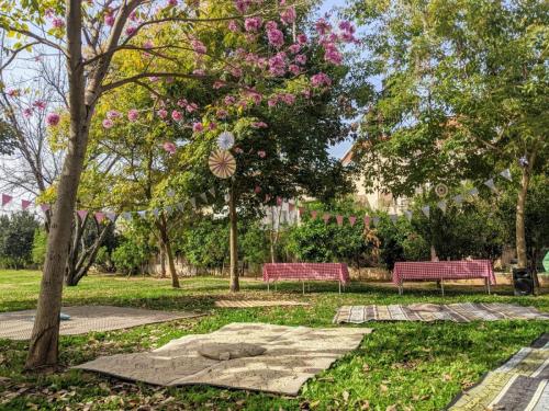 WhatsApp Image 2021-03-21 at 12.19.01 6