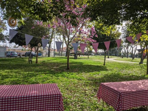 WhatsApp Image 2021-03-21 at 12.19.01 7