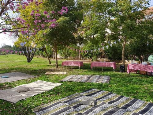 WhatsApp Image 2021-03-21 at 13.30.29 1